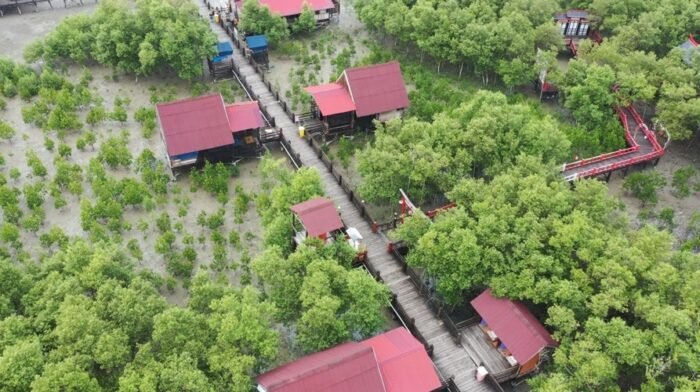 Lestarikan Mangrove Inalum Gandeng Kelompok Lingkungan Setempat